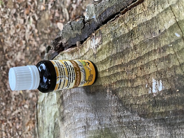 Teinture m&egrave;re d'ortie